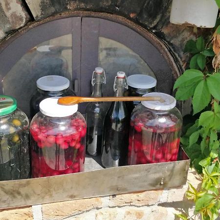 Lakhegy Novakporta Vendeghaz 아파트 외부 사진